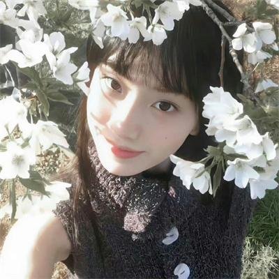 小熊的夏天