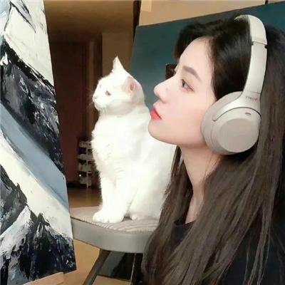 燕尾蝶